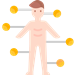 Body Surface Area