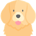 犬の年齢（人間換算）