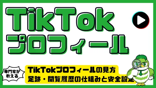 TikTokプロフィールの見方完全ガイド｜足跡・閲覧履歴の仕組みと安全設定を徹底解説