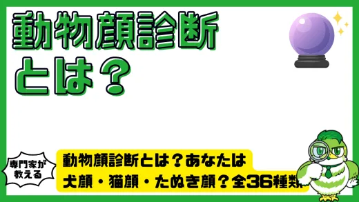 動物顔診断とは？あなたは犬顔・猫顔・たぬき顔？全36種類の特徴と性格・恋愛傾向まとめ