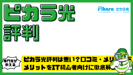 ピカラ光評判は悪い？ピカラ光の口コミ・メリットデメリットをIT初心者向けに徹底解説！