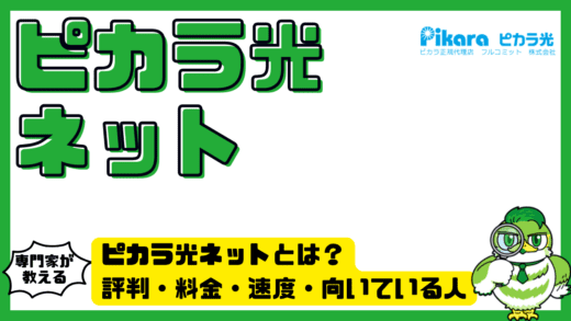 ピカラ光ネットとは？評判・料金・速度・向いている人をITが苦手でもわかりやすく解説