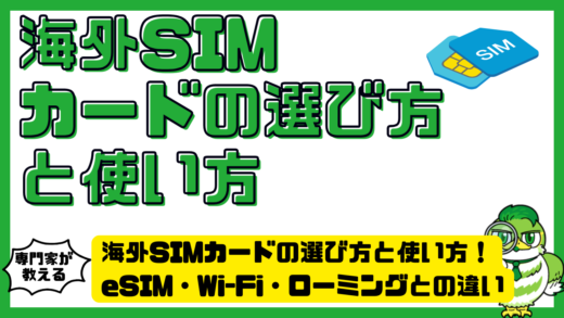 海外SIMカードの選び方と使い方完全ガイド！eSIM・Wi-Fi・ローミングとの違いも徹底比較