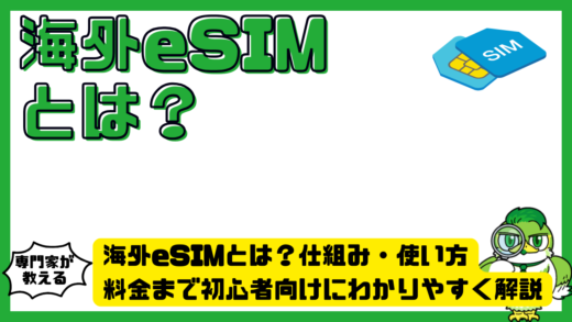 海外eSIMとは？仕組み・使い方・料金まで初心者向けにわかりやすく解説