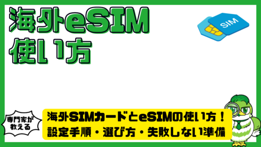 海外SIMカードとeSIM（イーシム）の使い方完全ガイド！設定手順・選び方・失敗しない準備まで解説