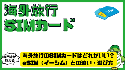 海外旅行のSIM（シム）カードはどれがいい？eSIM（イーシム）との違い・選び方・設定方法