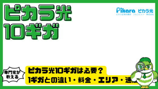 ピカラ光10ギガは必要？1ギガとの違い・料金・エリア・速度を徹底解説