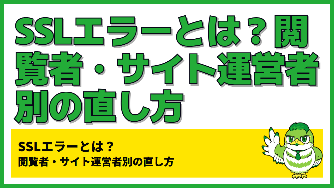 SSLエラーとは？閲覧者・サイト運営者別の直し方